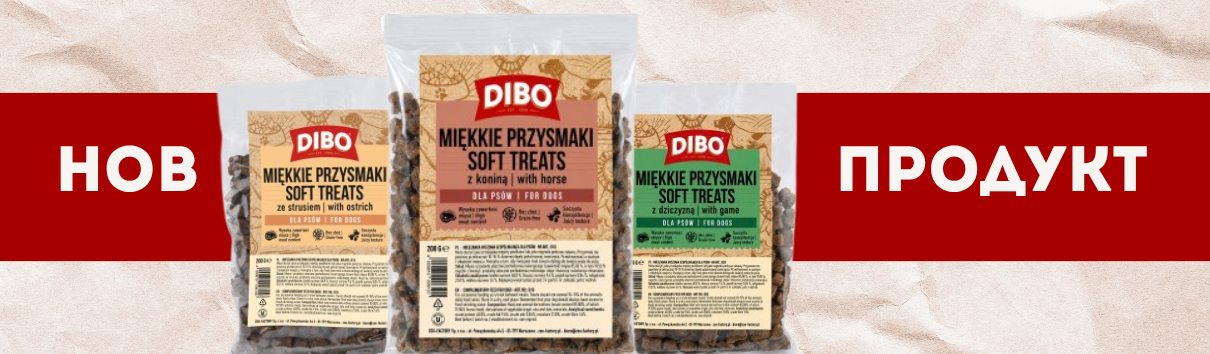 Dibo